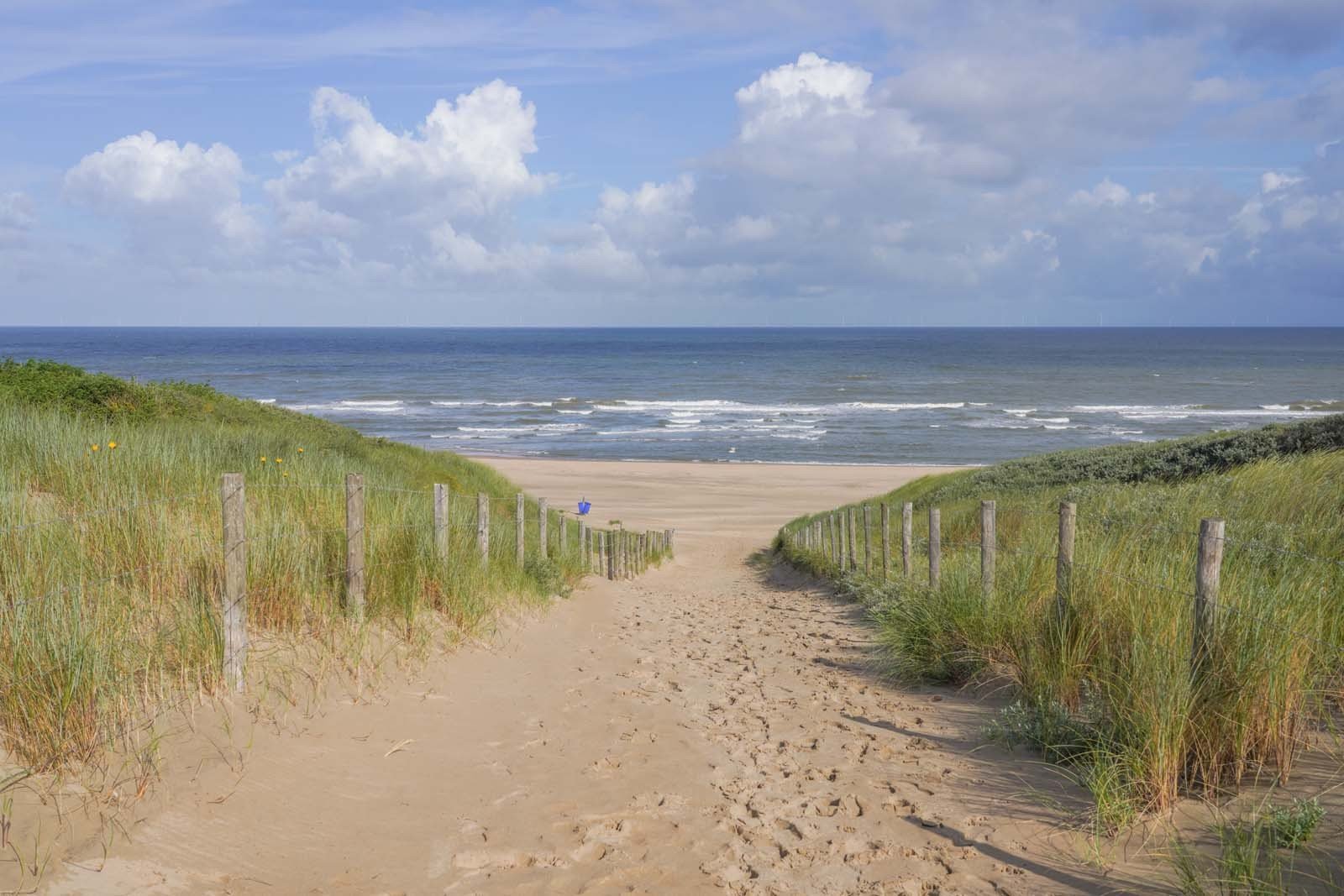 dirk van egmond strandafrit noordwijkerhout