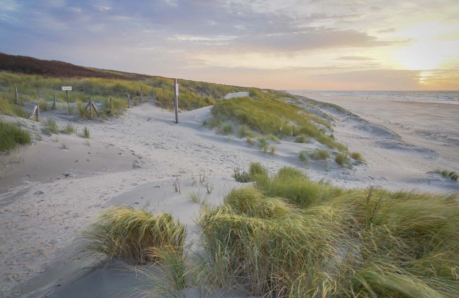 De magie van<br/><span class="ivy-mode-font">het strand...</span>