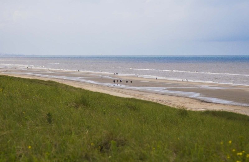 Noordwijkerhout omgeving 20