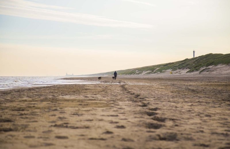 Noordwijkerhout omgeving 3 67d02afe41b61