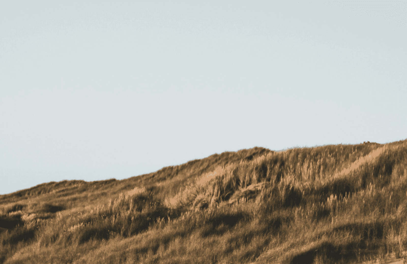 Simon marsault mly1zyhzmt8 unsplash